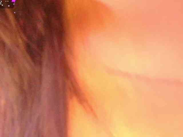 Andromeedas webcam