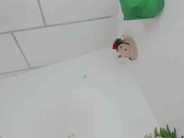 curvylattina webcam