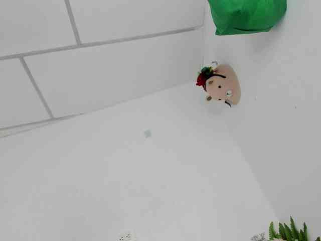 curvylattina webcam