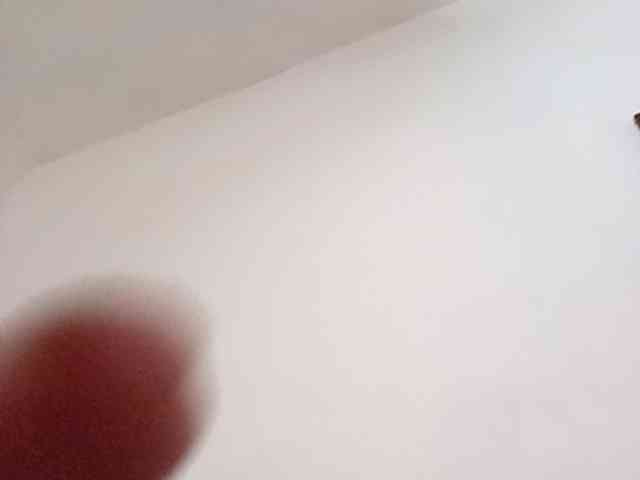 Reginasexy38