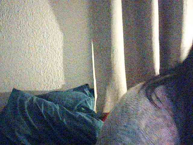 Batgirl1 webcam