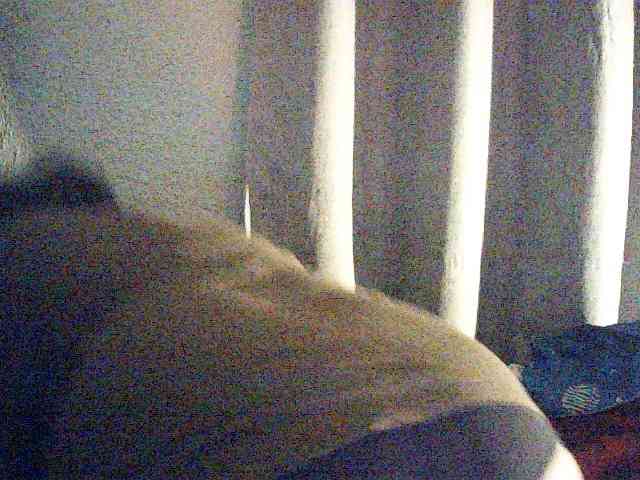 Batgirl1 webcam