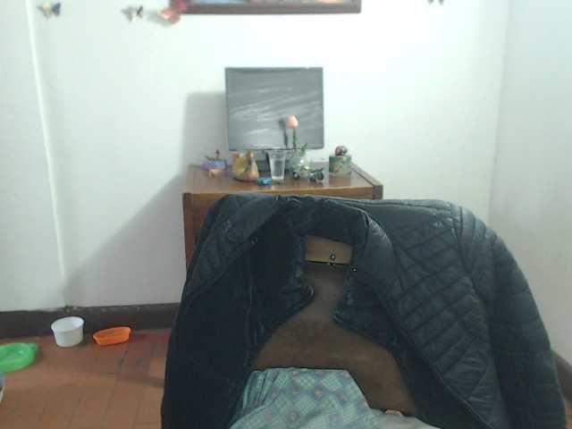 LluviaXDorada live cam on BongaCams