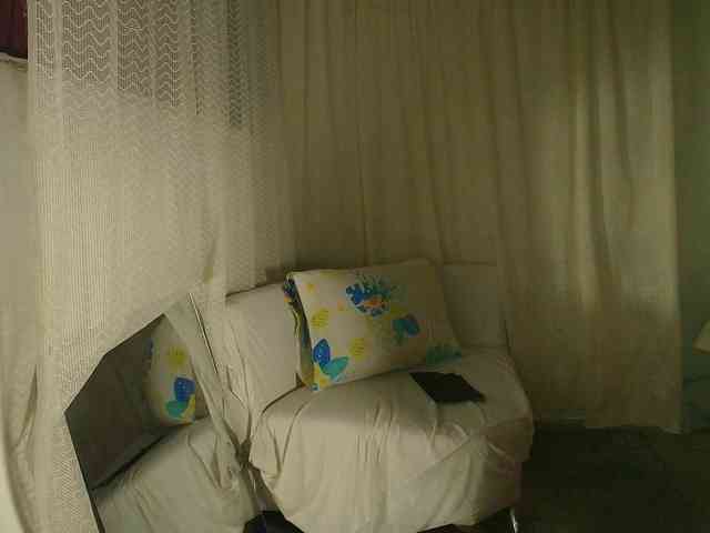 Vleria_evi webcam