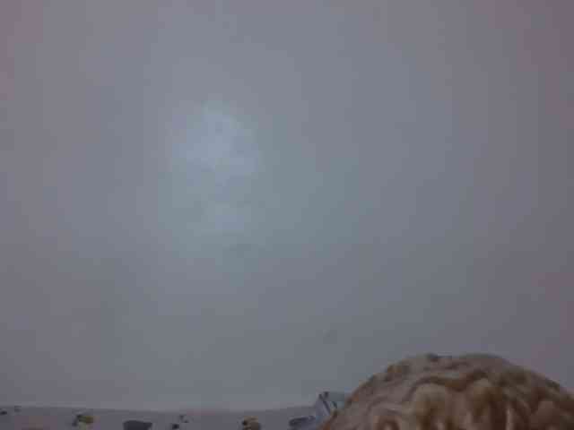 Candy011 webcam
