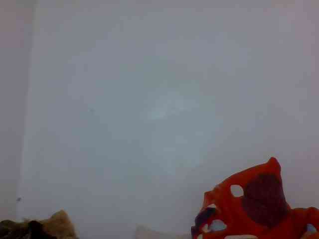 Candy011 webcam
