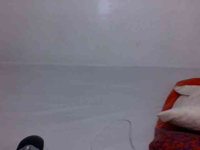 Candy011 webcam