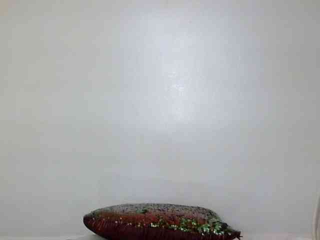 Candy011