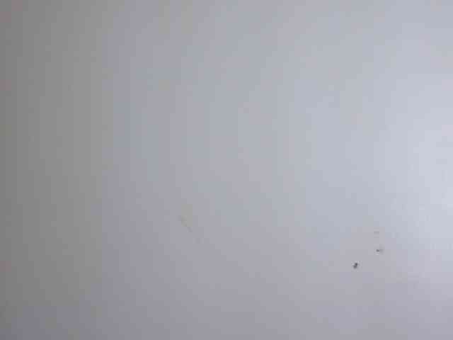 Candy011 webcam