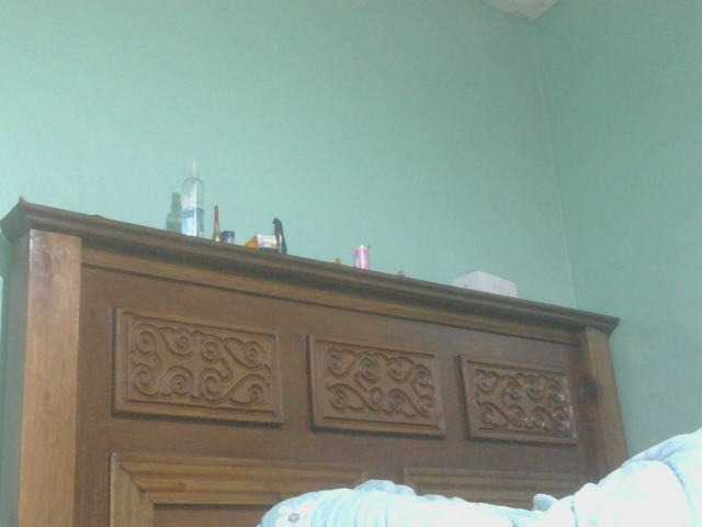 Ebonyflo live cam on BongaCams
