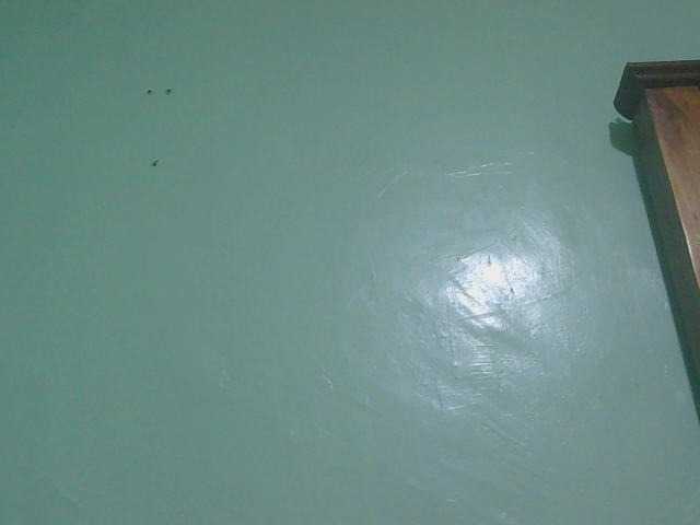 Ebonyflo live cam on BongaCams