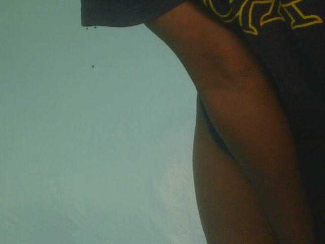 Ebonyflo live cam on BongaCams