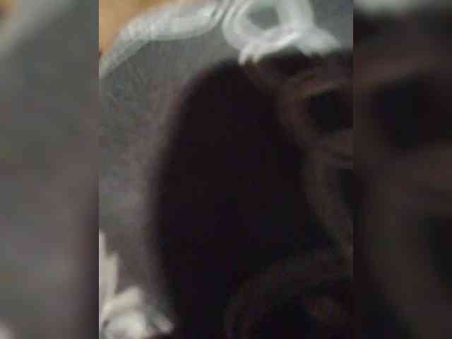 Lexx1901 Sex Cam Show