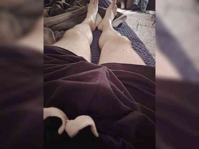 Lexx1901