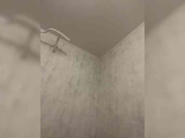 Iongg webcam