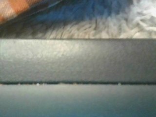 Ebonymaya25 Porn Show