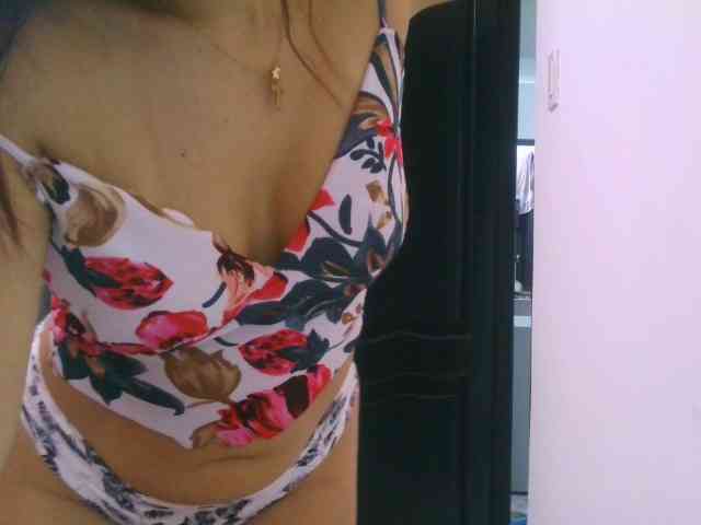 ANNE-KIS webcam
