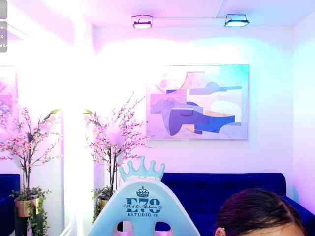 ary-gala webcam