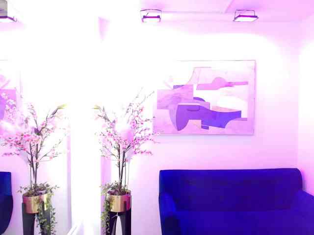 ary-gala webcam
