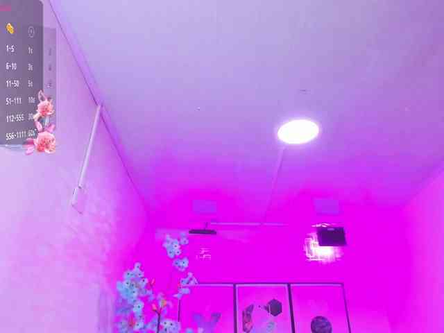 ary-gala webcam