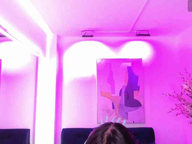 ary-gala webcam
