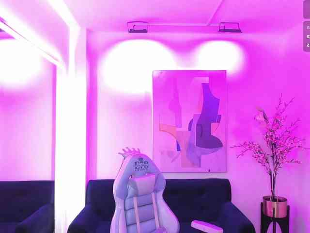 ary-gala webcam