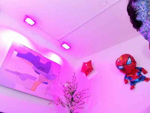 ary-gala webcam