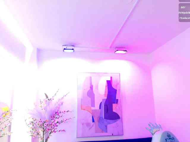 ary-gala webcam