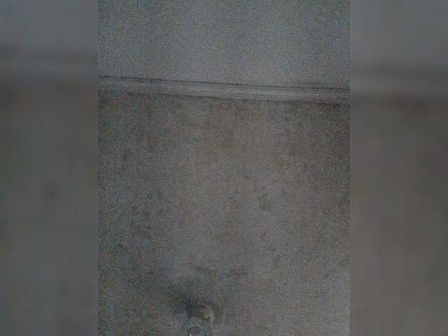 Preview of meowscarada