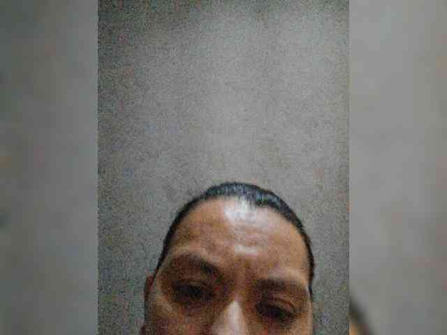 モデル: meowscarada