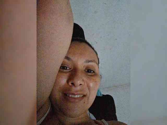 モデル: meowscarada