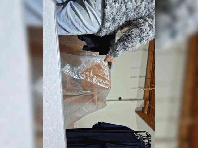 -meowscarade- webcam