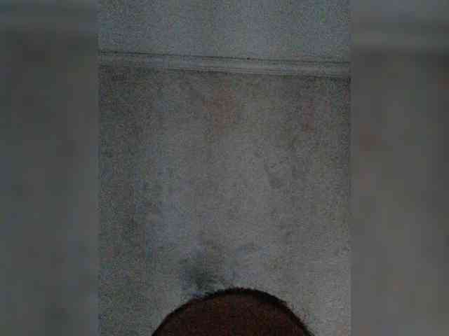 モデル: meowscarada