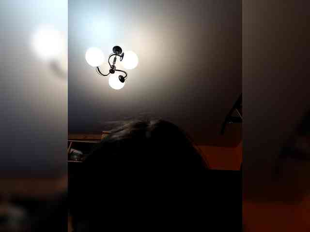 HEXAHEAD webcam