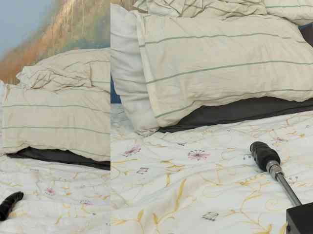 Sweet-XL webcam