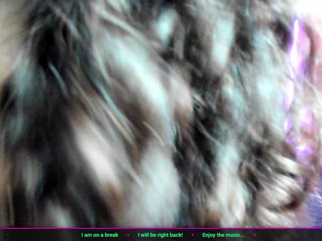 Tulipxo live cam on BongaCams