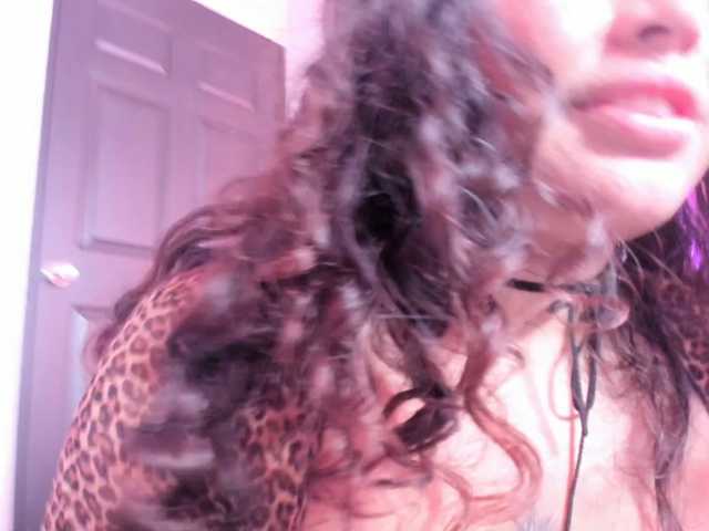Tulipxo live cam on BongaCams