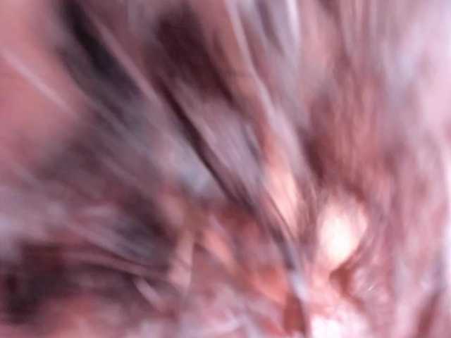 Tulipxo live webcam show