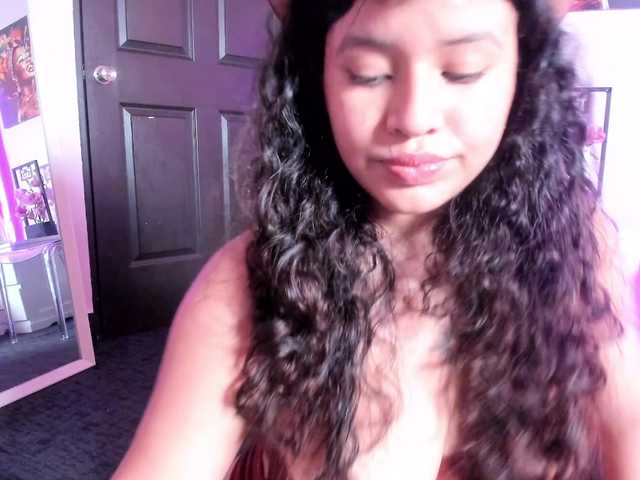 Tulipxo live webcam show