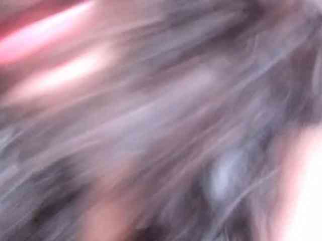 Tulipxo webcam
