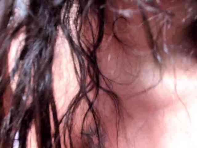 Tulipxo webcam