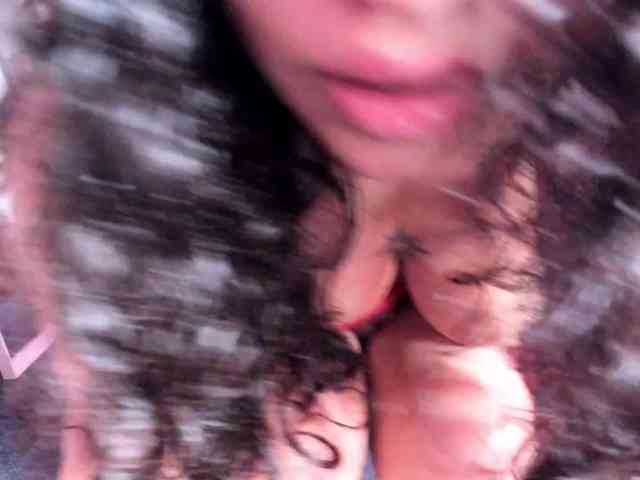Tulipxo webcam