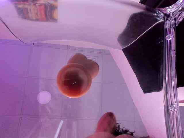 Tulipxo