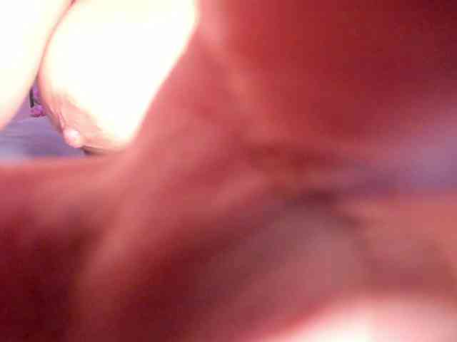 Tulipxo