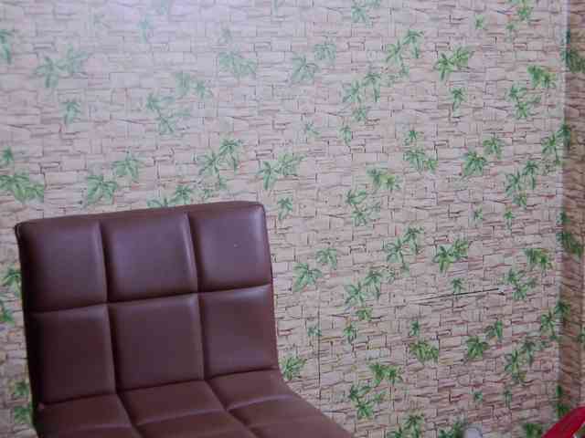 ElaraLuxe webcam