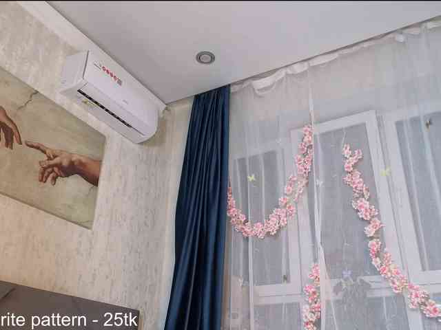 IamStella webcam