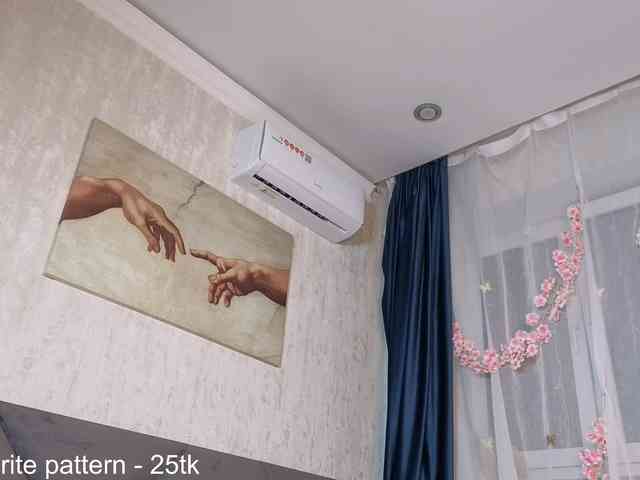 IamStella webcam