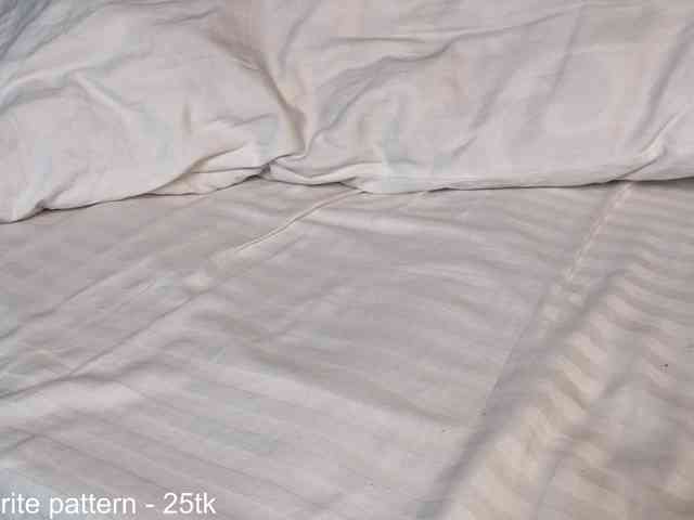 IamStella webcam