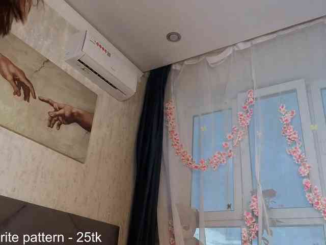 IamStella webcam