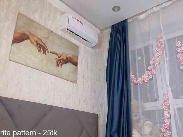 IamStella webcam